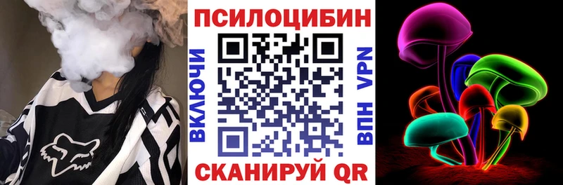 Купить где  Пошехонье  Галлюциногенные грибы Cubensis 